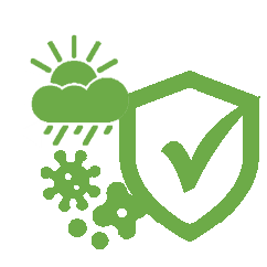 Icon pprotection algae, mold and weather green