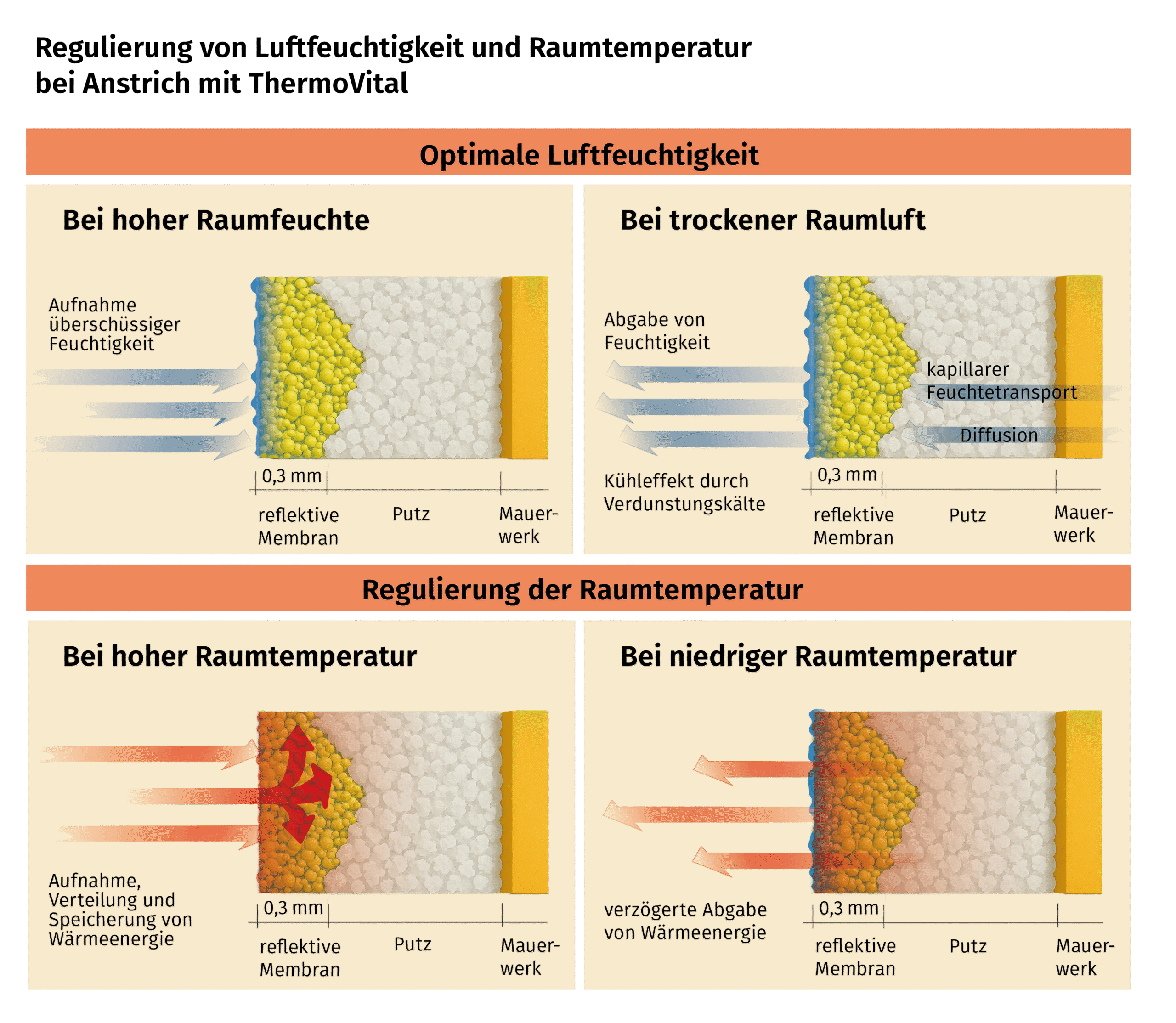 Wandschnitte ThermoVital