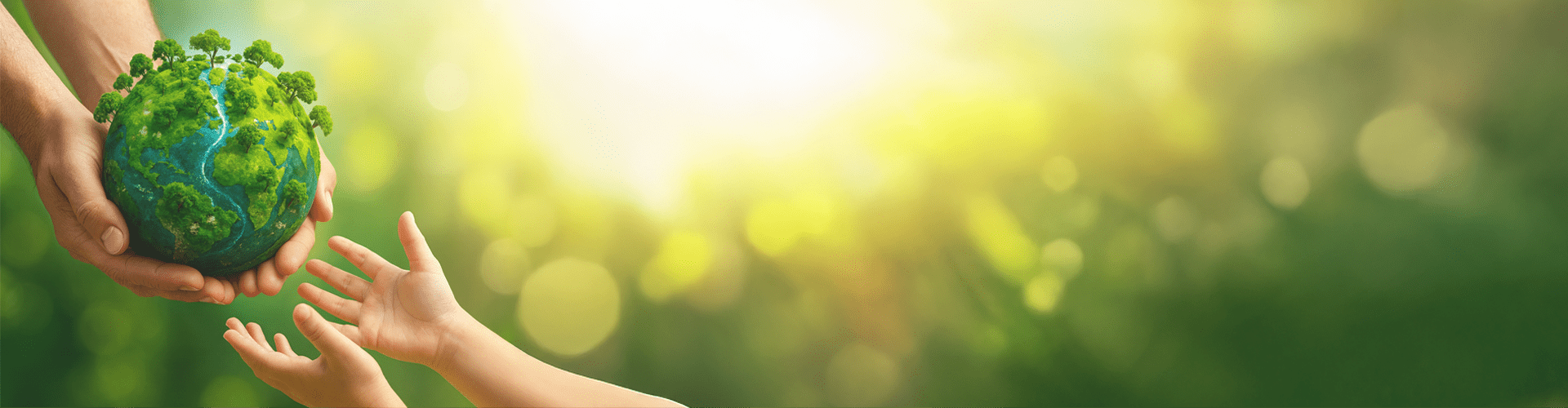 Sostenibilidad y medio ambiente