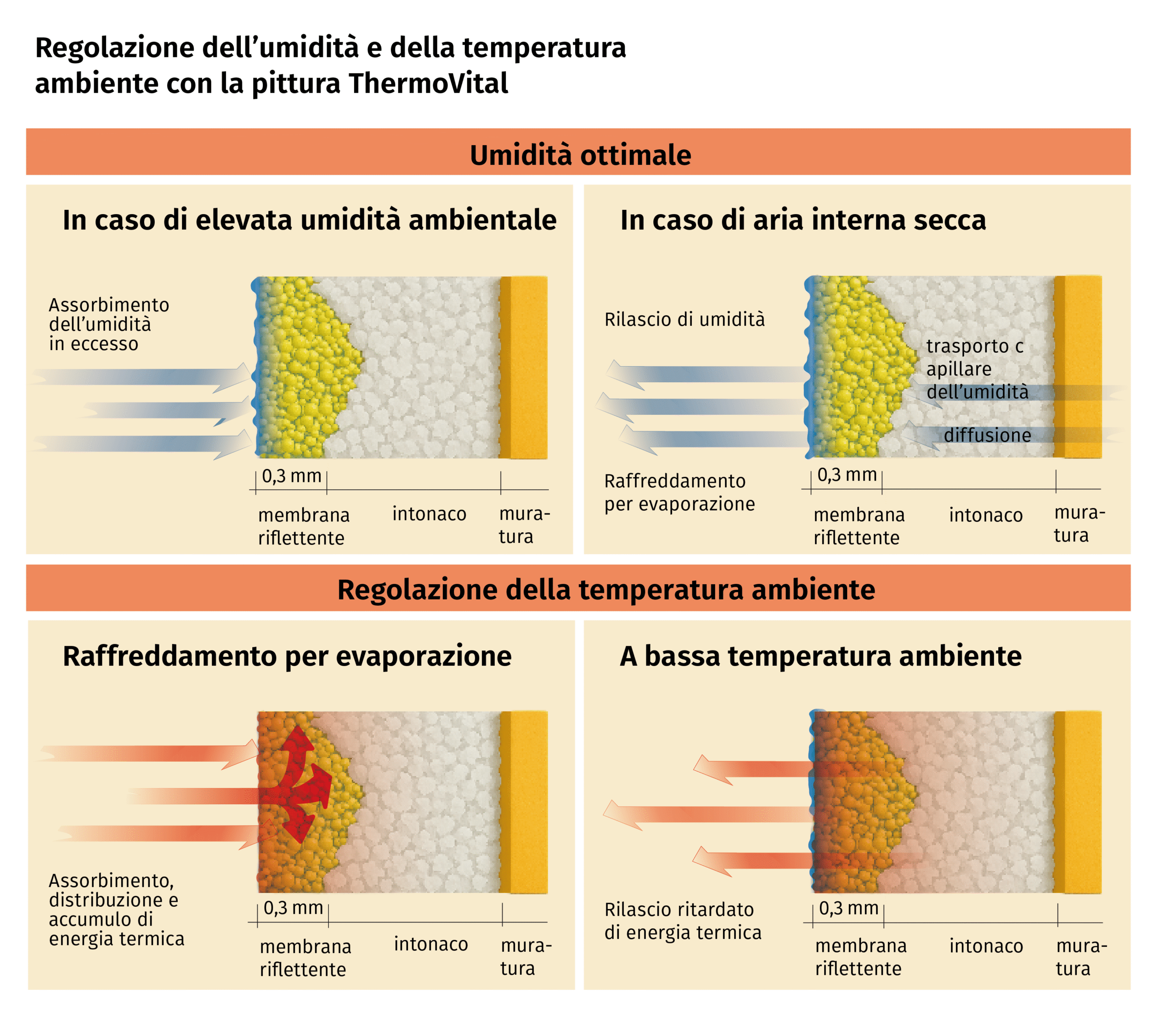 Sezioni di parete ThermoVital