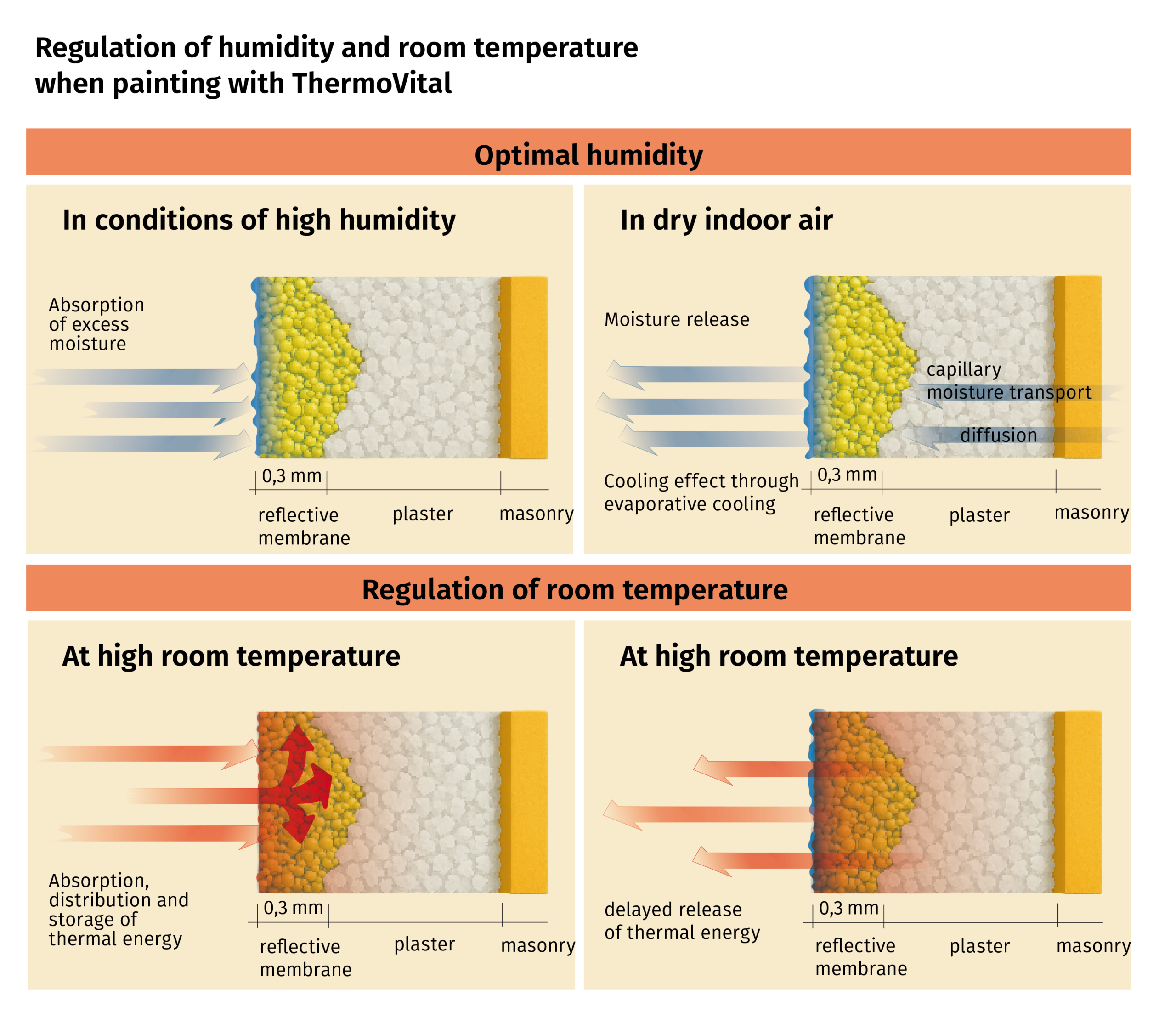 Wandschnitte ThermoVital