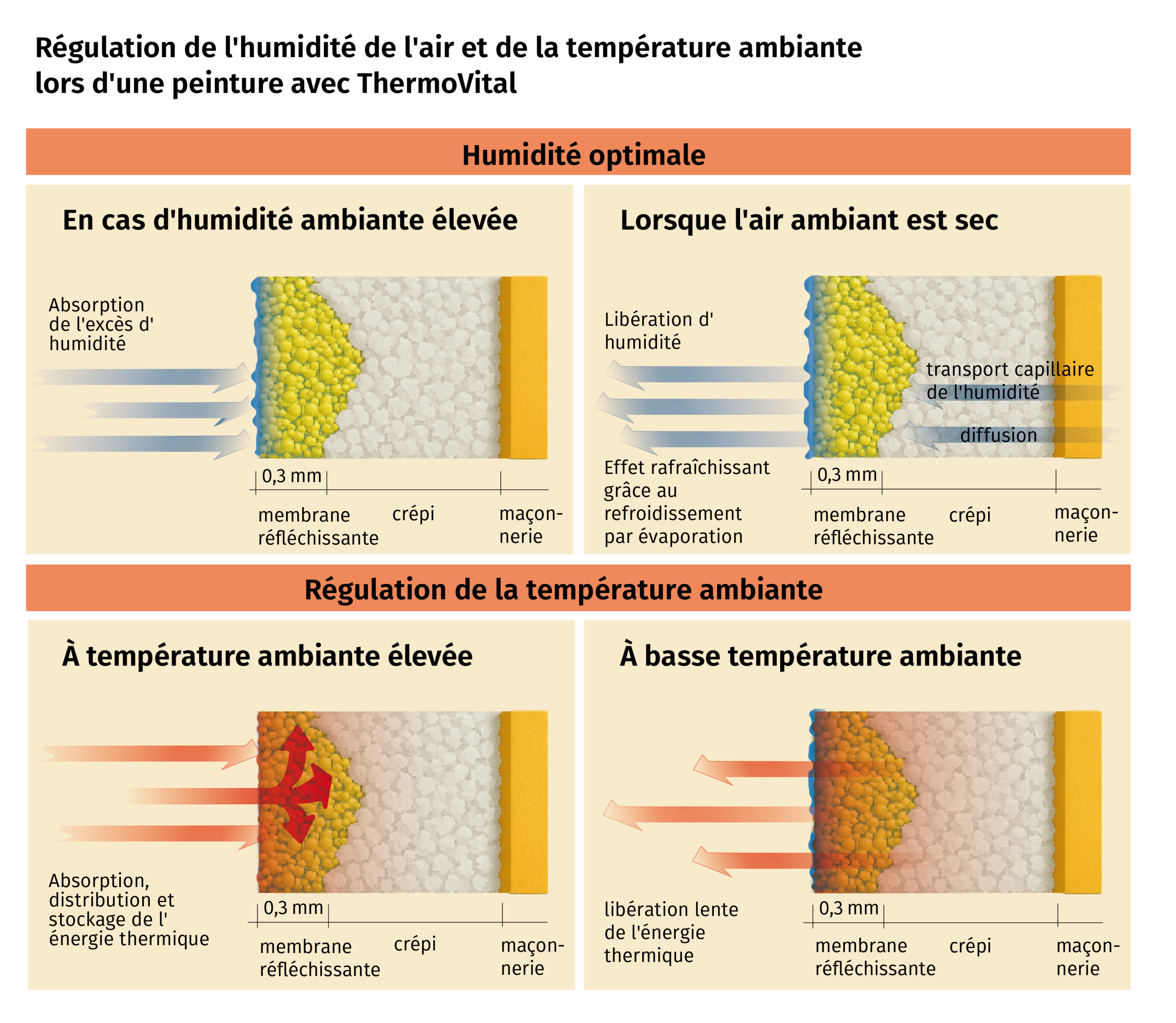 Wandschnitte ThermoVital