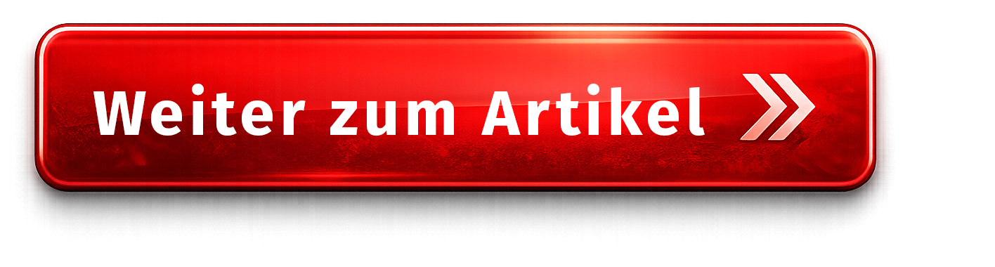 Zum Artikel
