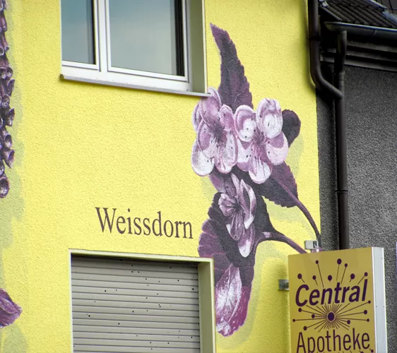 Apotheke in Witten 02