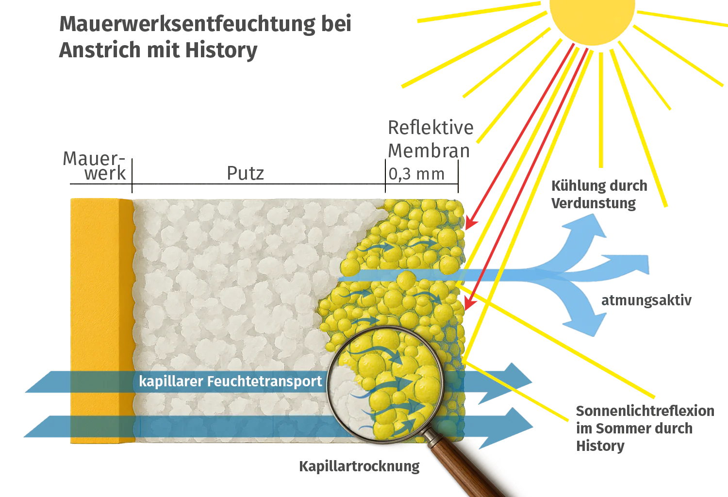 History Mauerwerksentfeuchtung