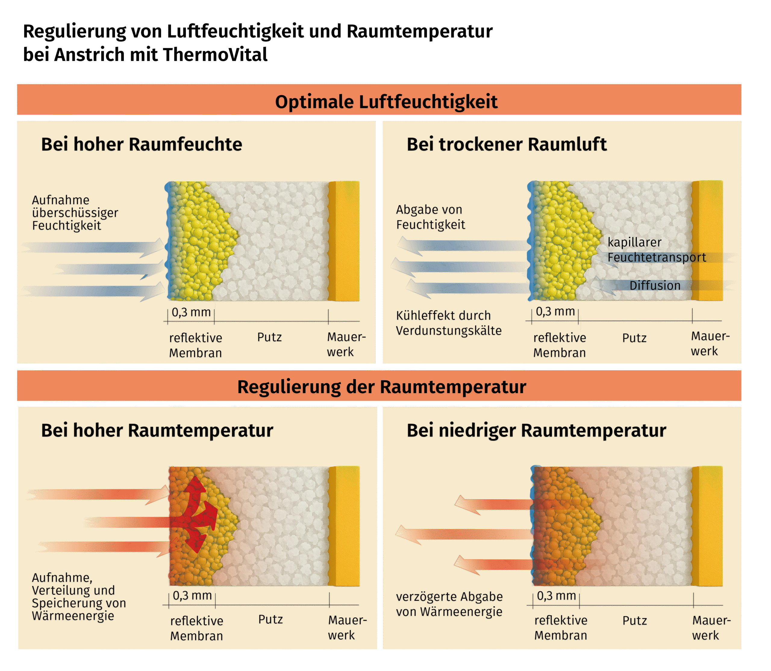 Wandschnitte ThermoVital