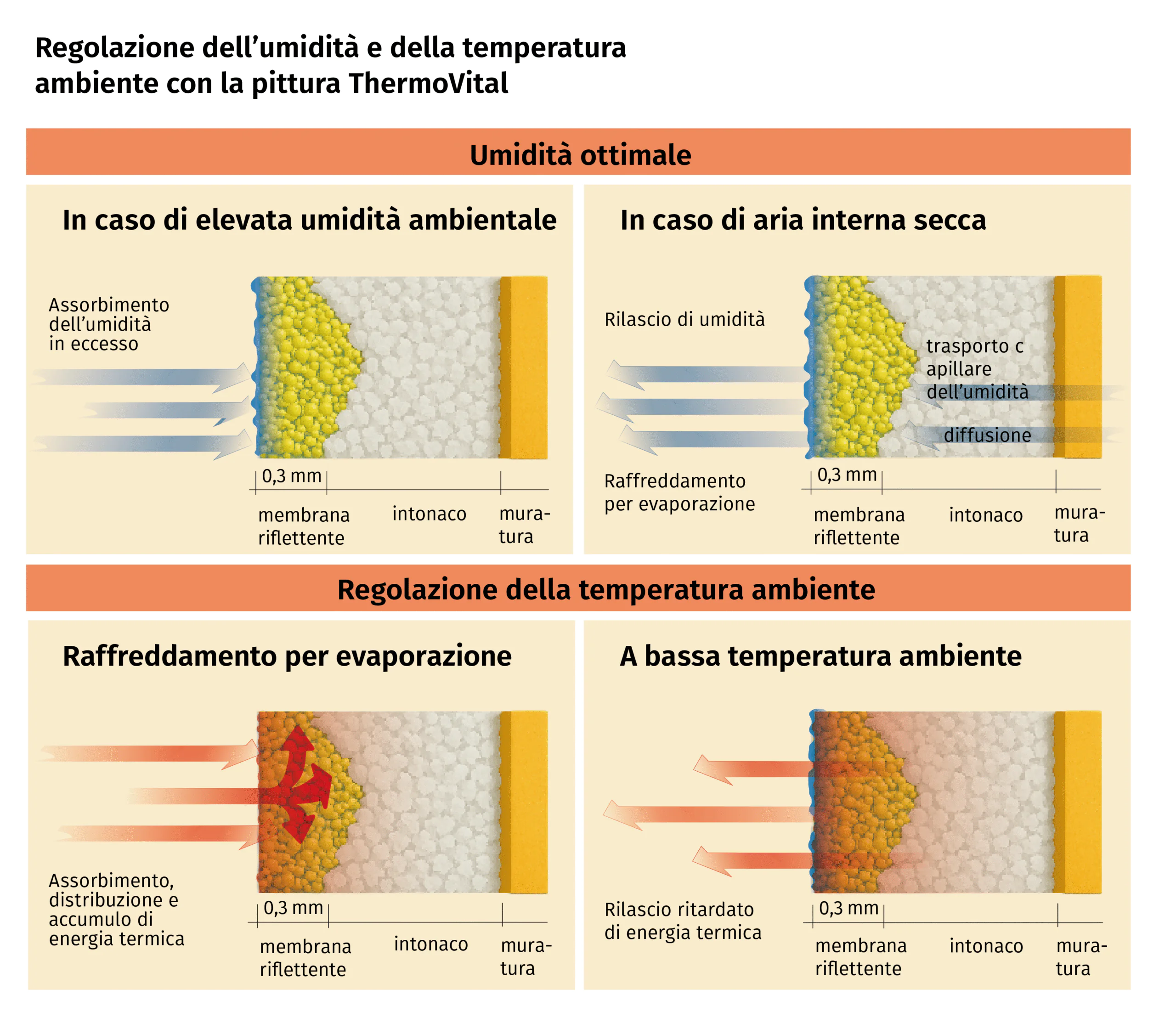 Sezioni di parete ThermoVital