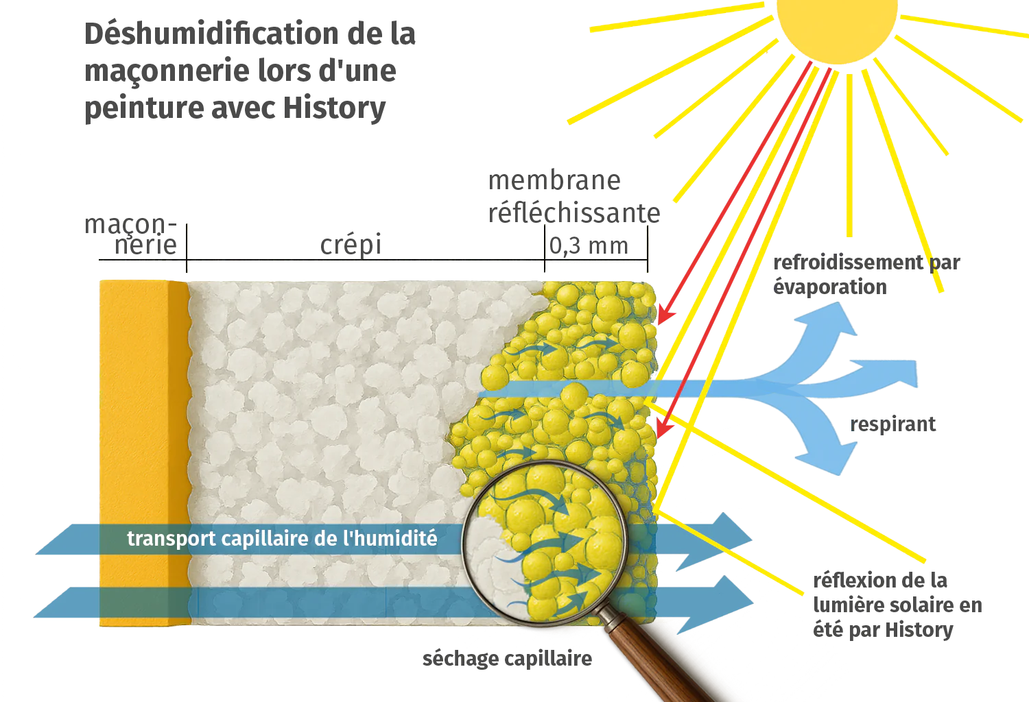 History Mauerwerksentfeuchtung