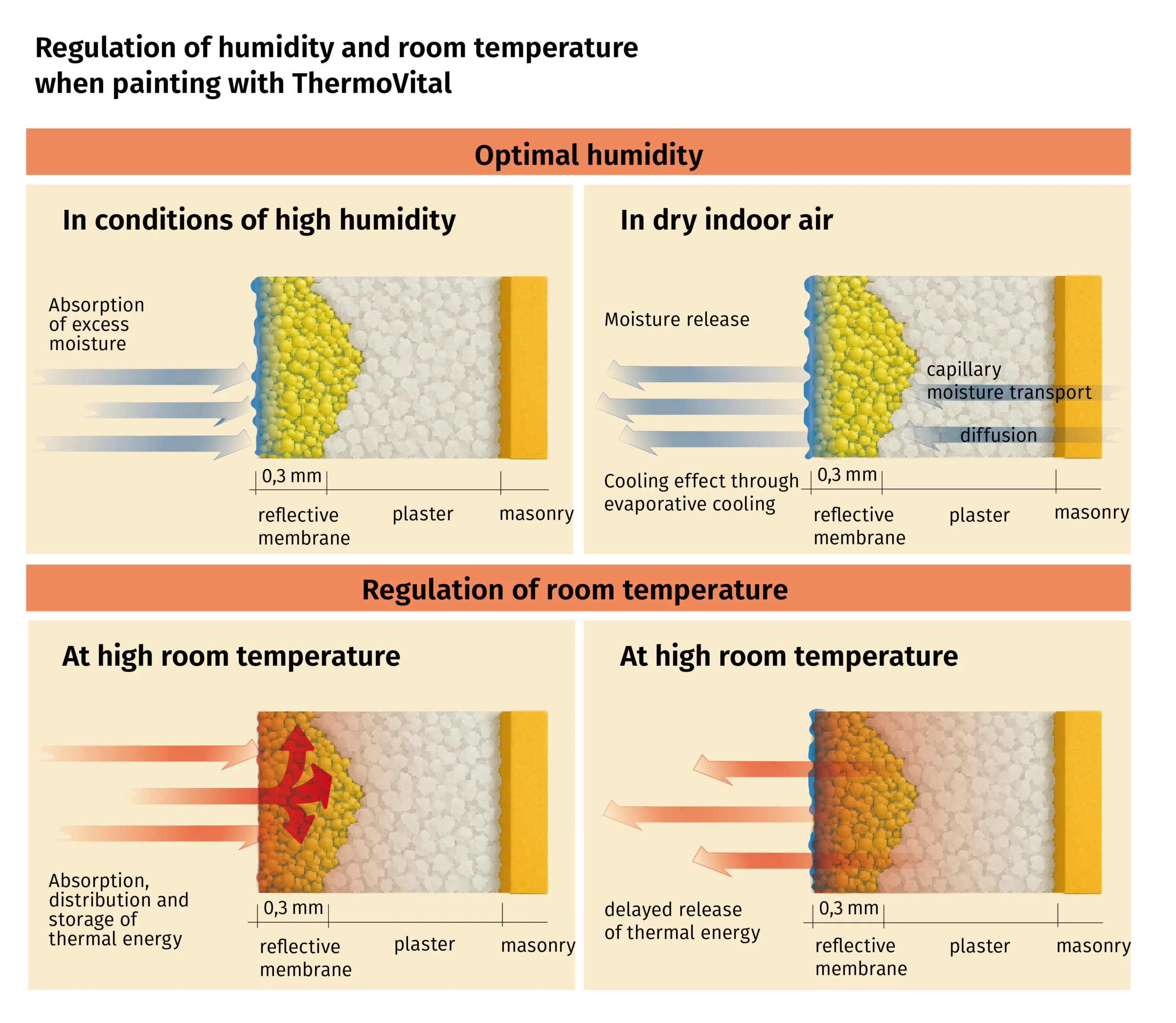 Wandschnitte ThermoVital