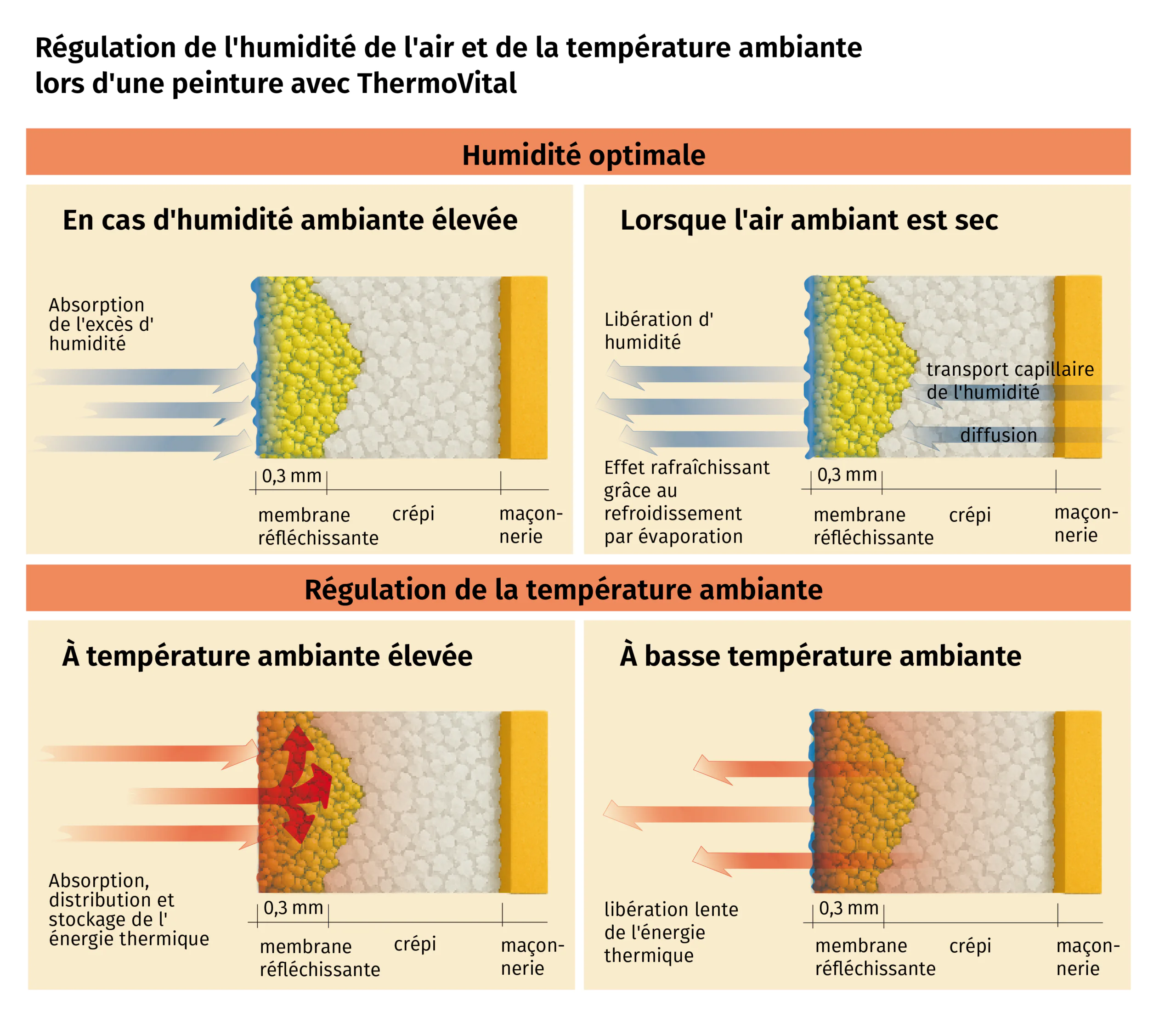 Wandschnitte ThermoVital