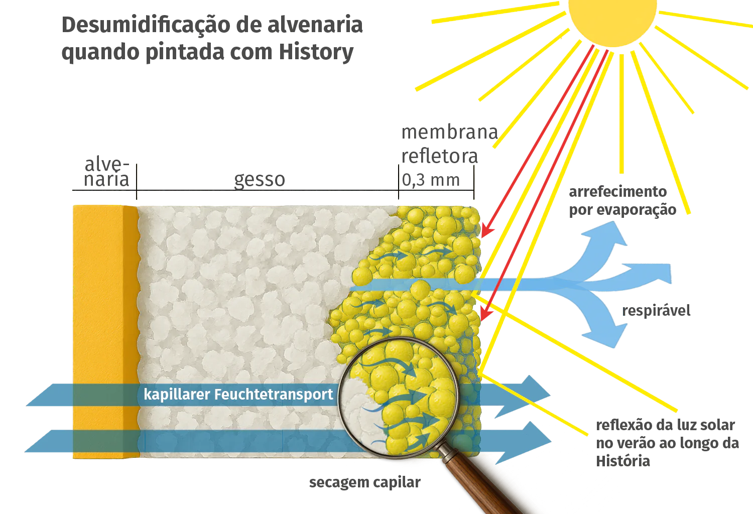 History Mauerwerksentfeuchtung History Mauerwerksentfeuchtung